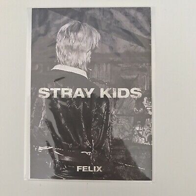 (Collect)- Original Photocards- Stray Kids - IN生 (IN LIFE)(Limited Edition)- MINI PHOTOBOOK- FELIX