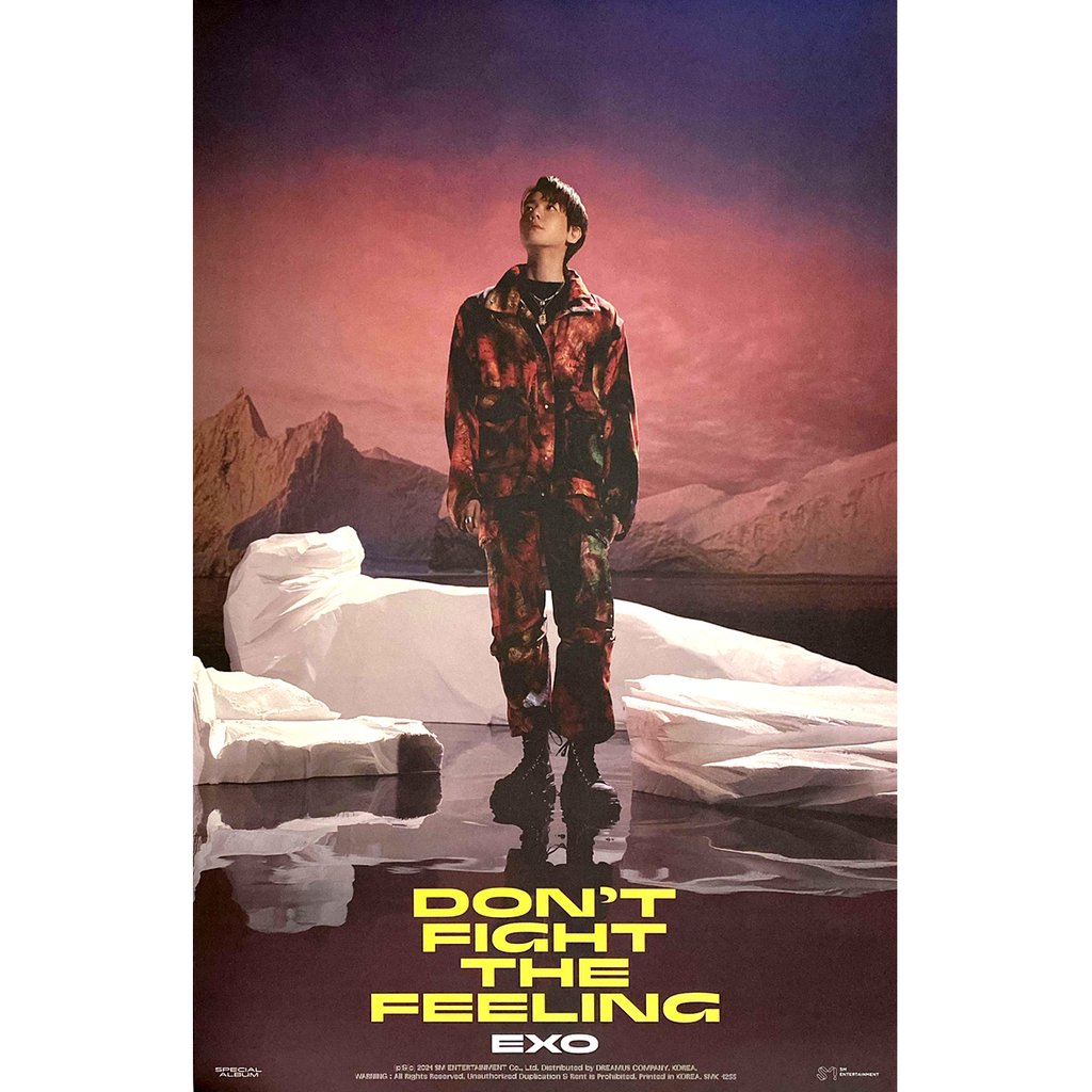 BaekHyun (Don't Fight The Feeling)- Official Poster