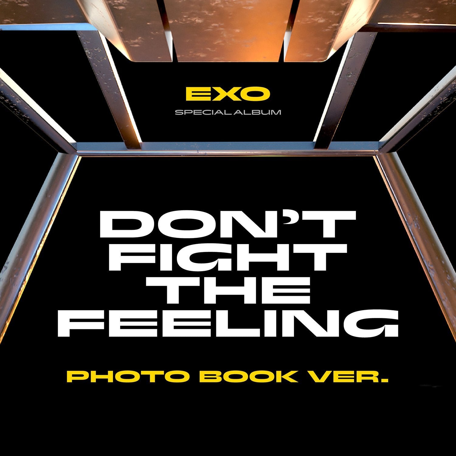EXO- DON'T FIGHT THE FEELING (Official Poster)